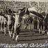 Copa de 1954
